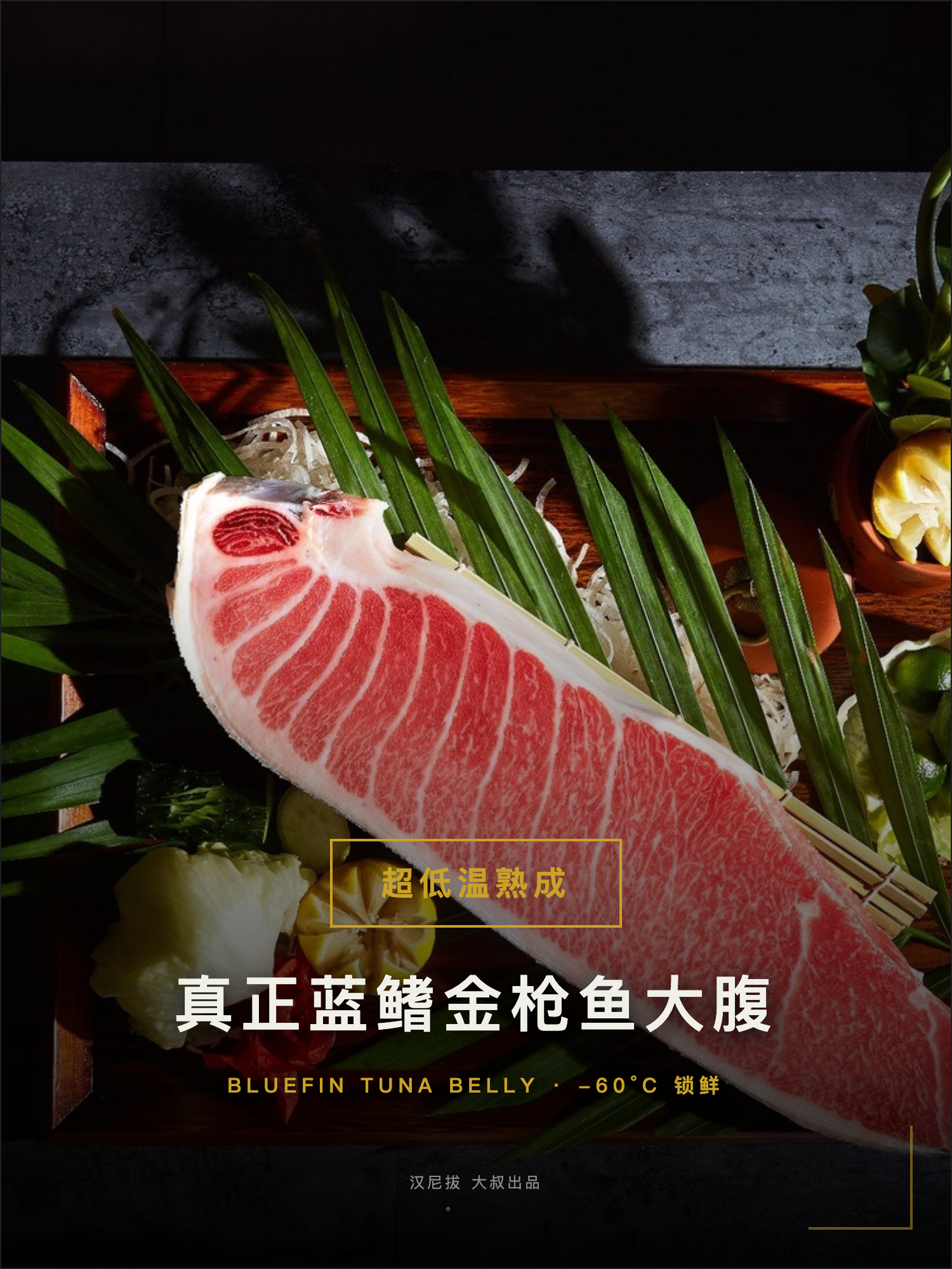 汉尼拔介绍 08